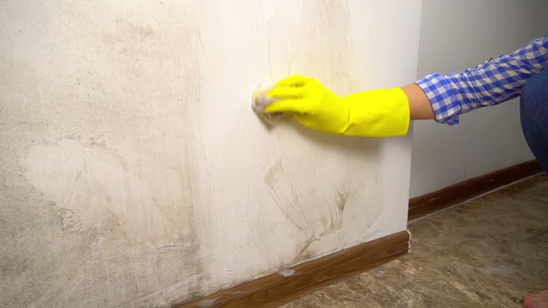 Mold Remediation for Rental Properties in Fayette, AL